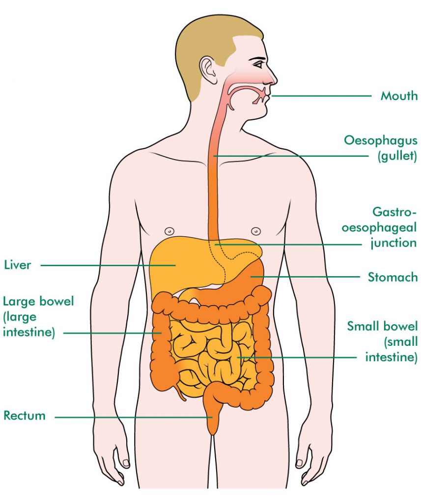 Oesophageal Surgery Melbourne